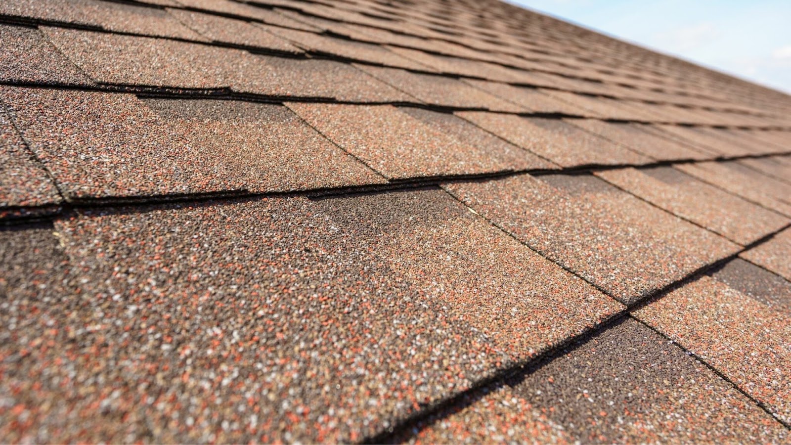 Roof shingles on residential property.