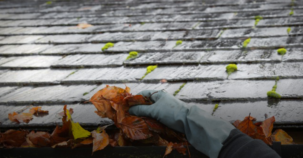 Gloved hand removing leaves from a client's roof
