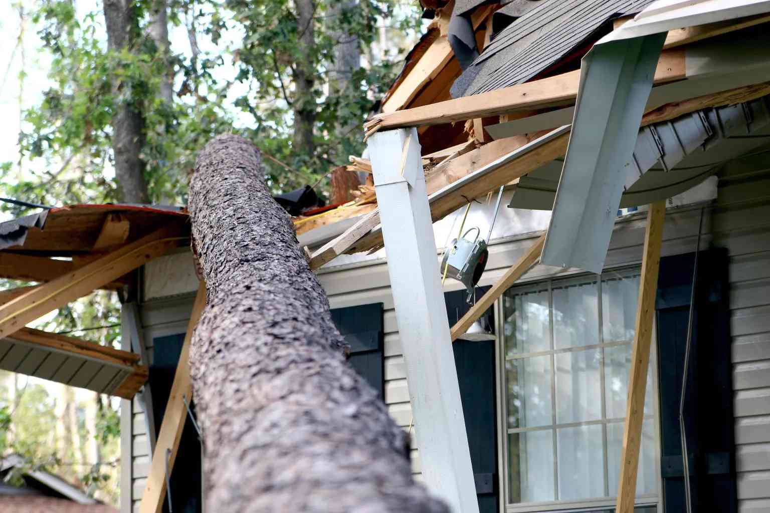 Roof damaged by fallen tree showing need for storm damage roofing service in St. Cloud, MN.