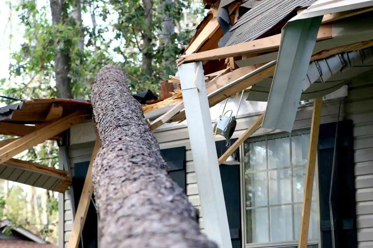Roof damaged by fallen tree showing need for storm damage roofing service in St. Cloud, MN.