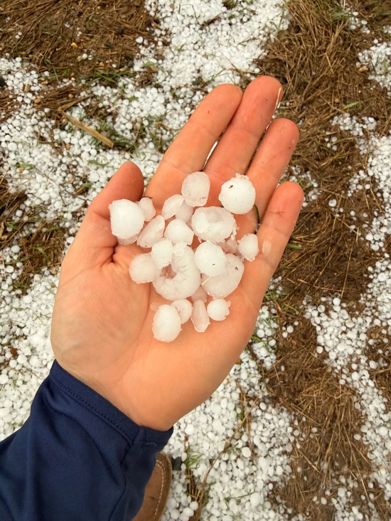 hail storm roof damage