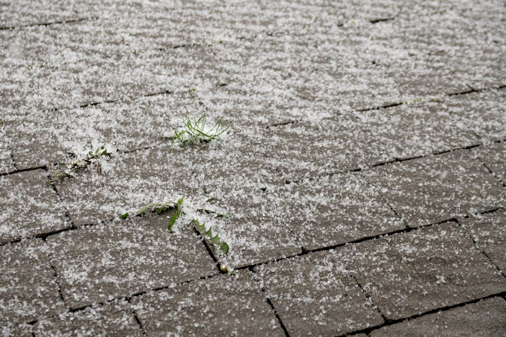 hail covered cobblestone path with grass and leave 2026 04 20 16 39 19 utc